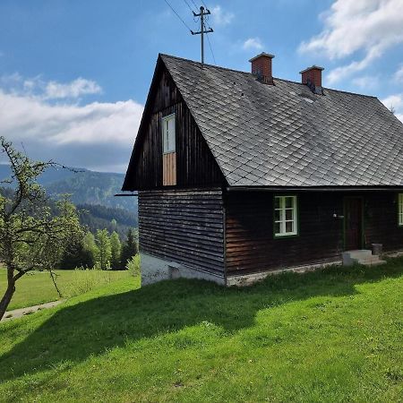 Zankl Villa Lavamünd Buitenkant foto