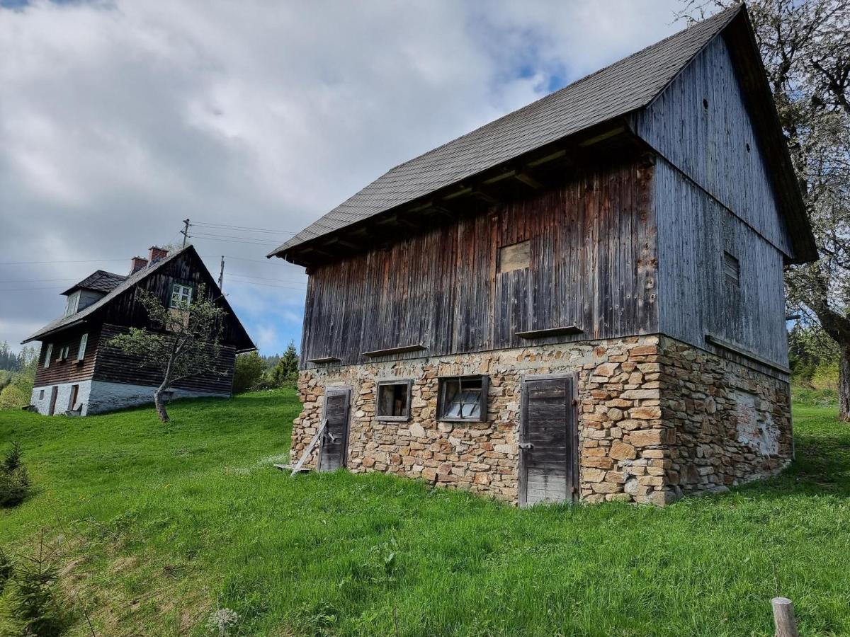 Zankl Villa Lavamünd Buitenkant foto